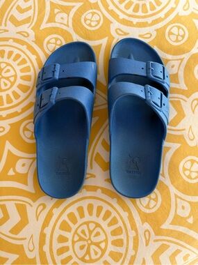 Blue Double-Buckle Slide Sandals